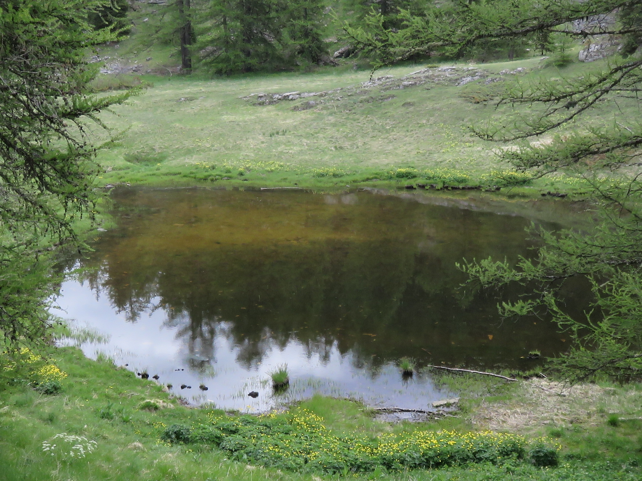 juin 2017 Lac des Lauzes