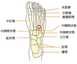 冷えのポイントです。　整体ほしみぐさ