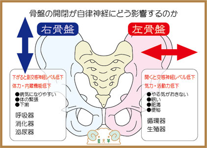 二宮整体骨盤調整図