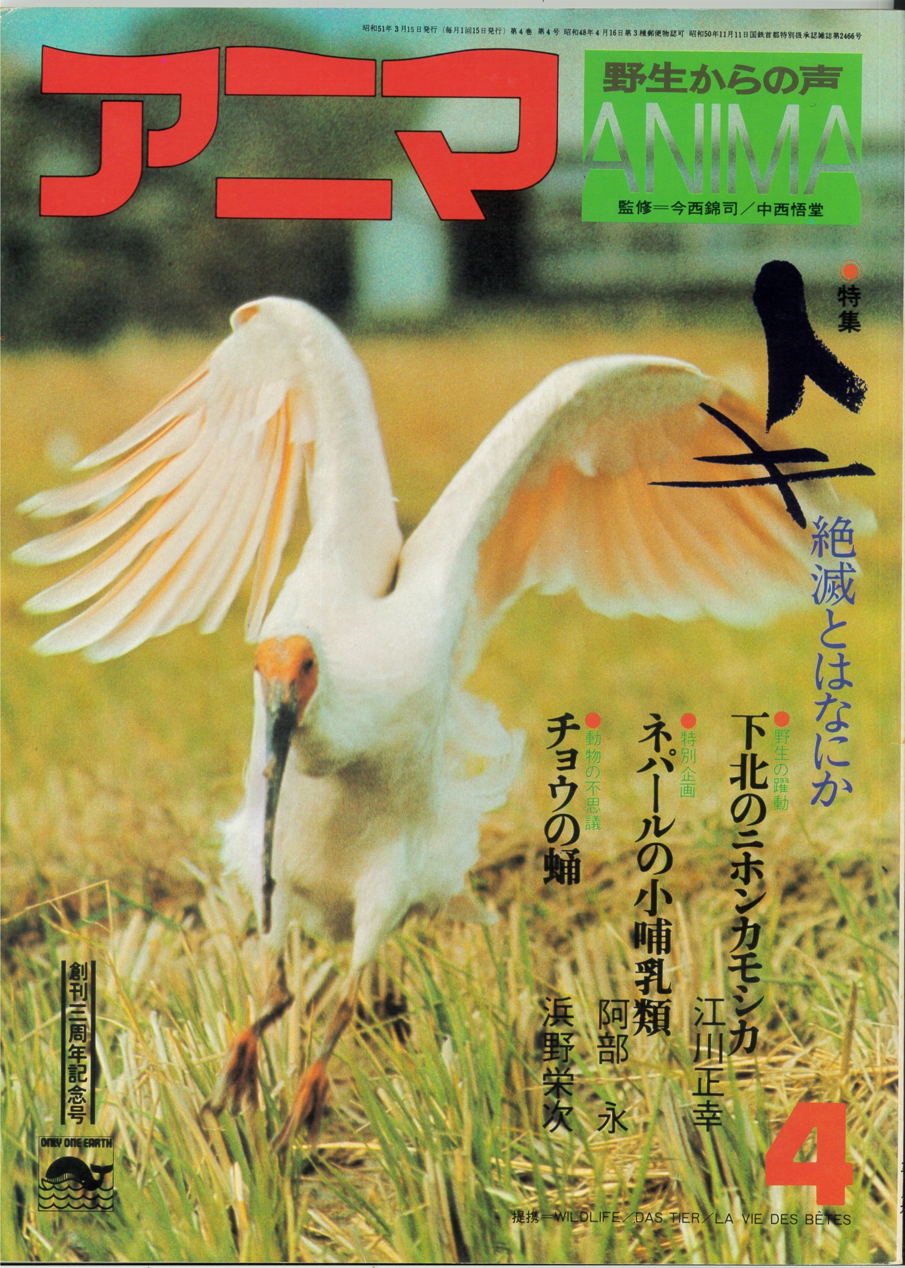 48年目の悲願達成、佐渡島のトキ』 - 日本野鳥の会東京