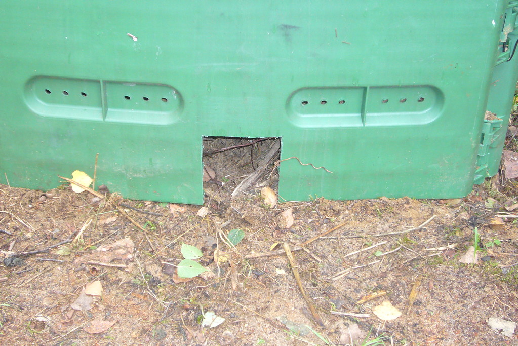 Kompostbehälter mit einem Schlupfloch für den Igel