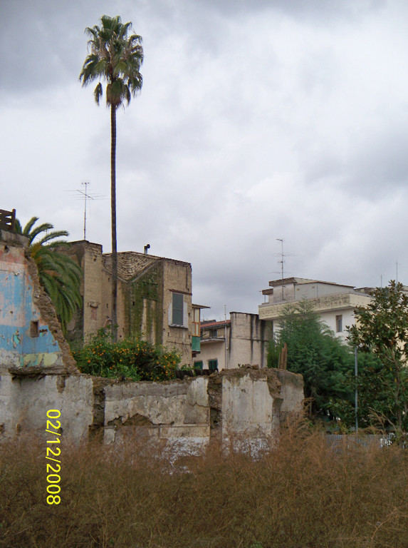 Via S. Croce - Via Sebastiano-ristrutturazione con palma secolare