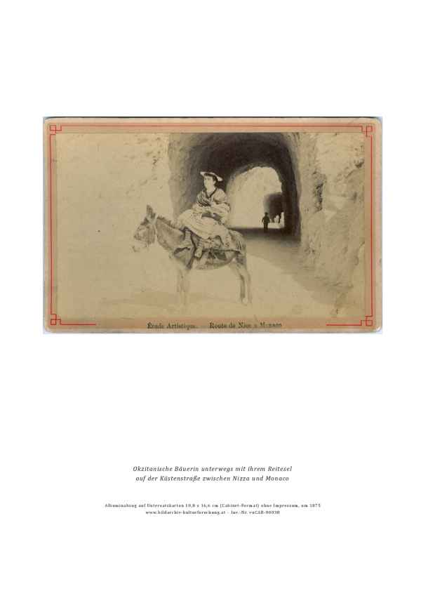 Inv.-N.  vuCAB-00038