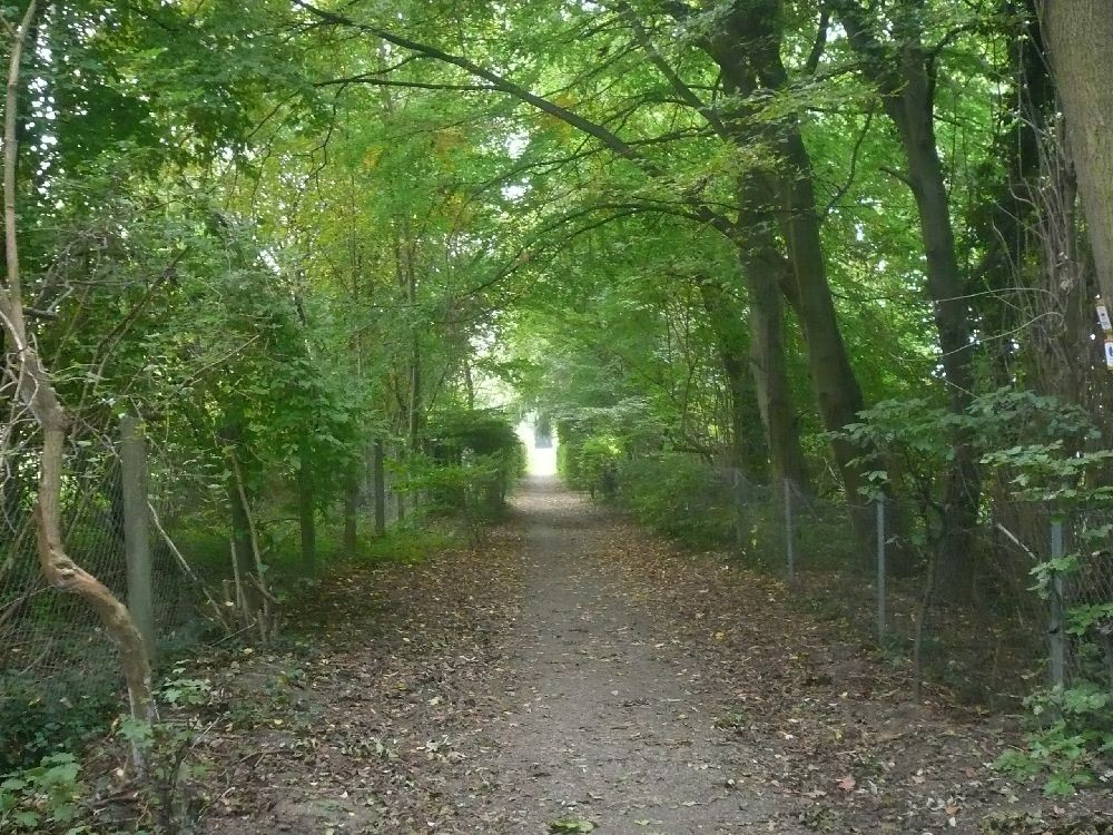 Etappe 5 © laufende-nase.net