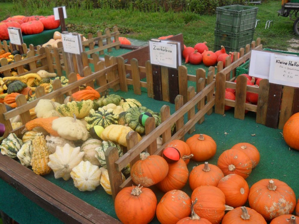 Etappe 2 © laufende-nase.net