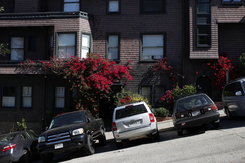 San Francisco Mit Blumen im Haar SquirrelSarah