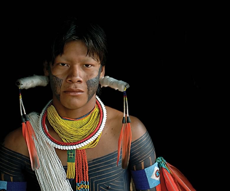 Arará I. Macaw. Kayapo culture, Brazil. 2006