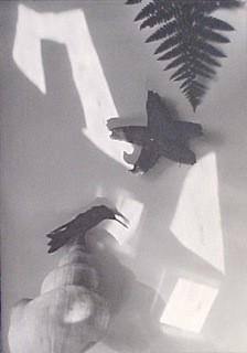 Jaromir Funke Photo Edition Berlin Art Shop