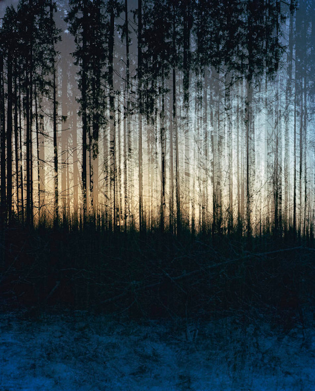 Wald, 877.4, 2006
