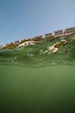 Hong Kong Waters, 2009-2011