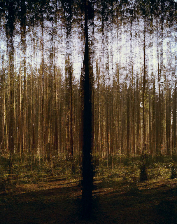 Wald, 891.2, 2007