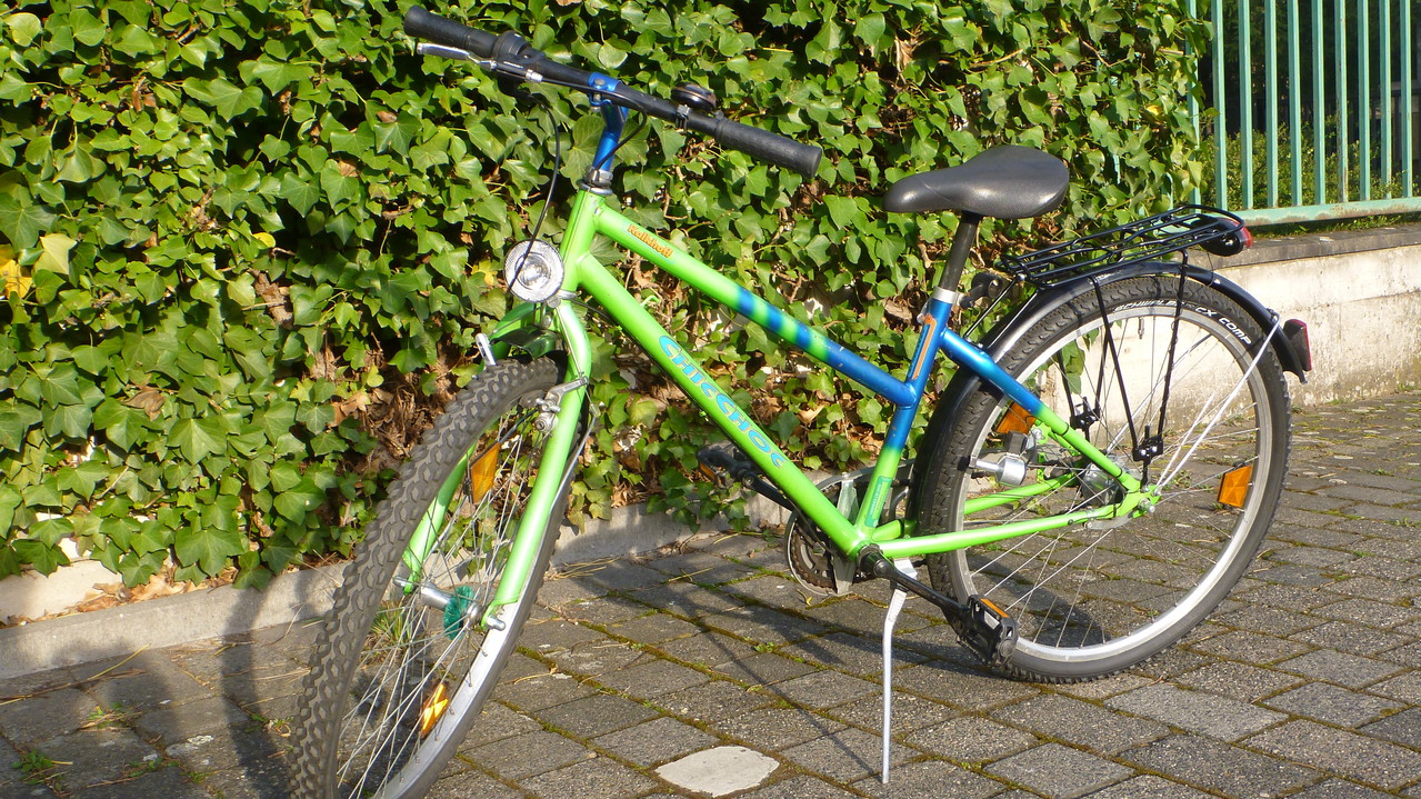 fahrrad für kinder ab 4 jahre gebraucht