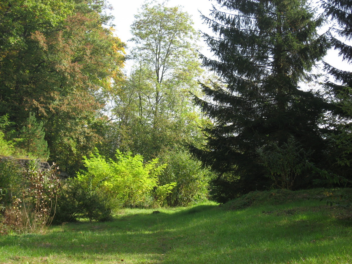 Weg zur Römerfundstelle