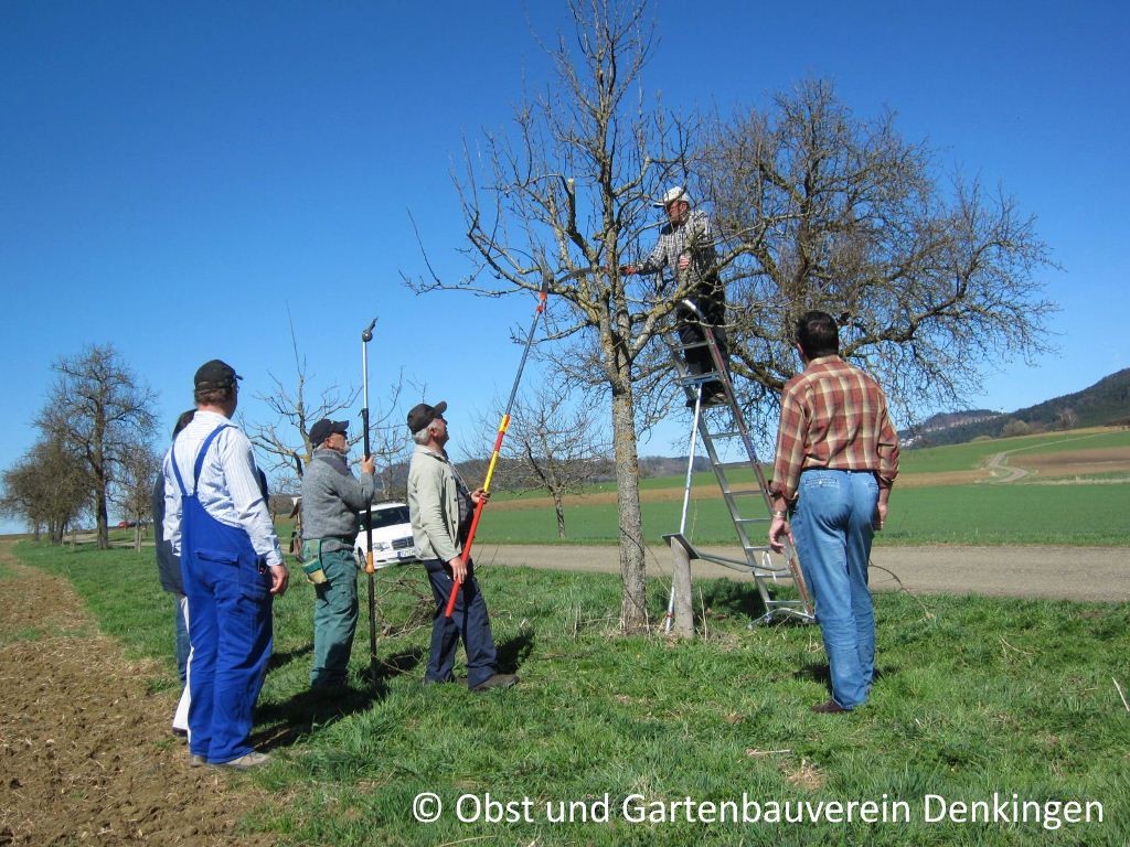 Baumschnittaktion