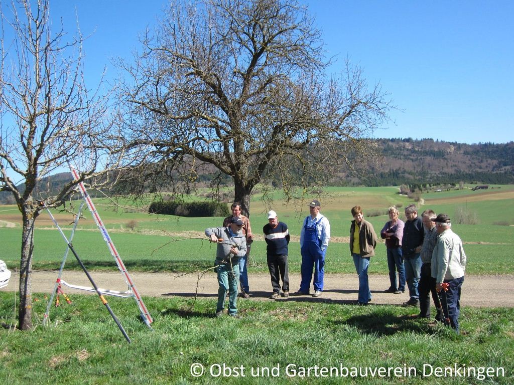 Baumschnittaktion