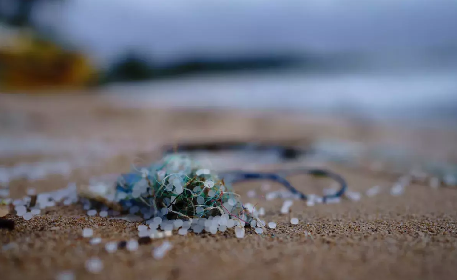 マイクロプラスチックが血液につづき「人の心臓」から発見　人体への影響は？