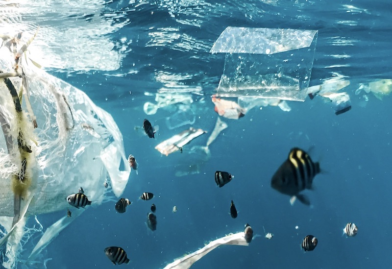 プラスチック汚染の根絶へ 法的拘束力のある国際条約を――日本政府に政策提言する「企業連合」が発足