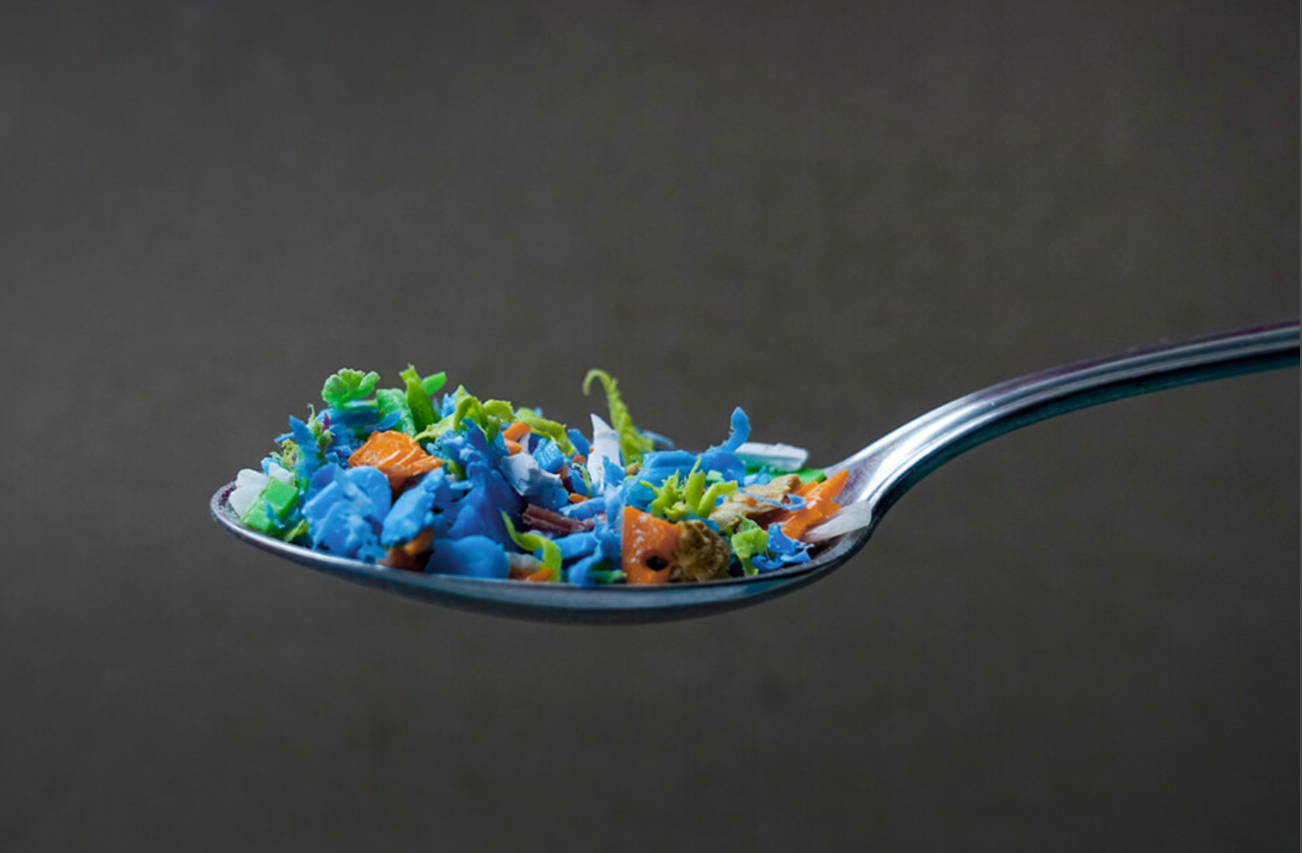 マイクロプラスチック摂取の悪影響、マウス実験で脳への蓄積と「異常行動」が観察される