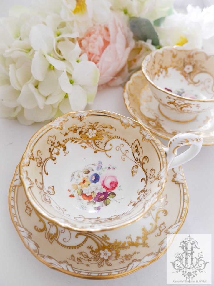 370 コールポート 総手描き花絵ティーカップ２種類 Graceful Teacups By H Wilk