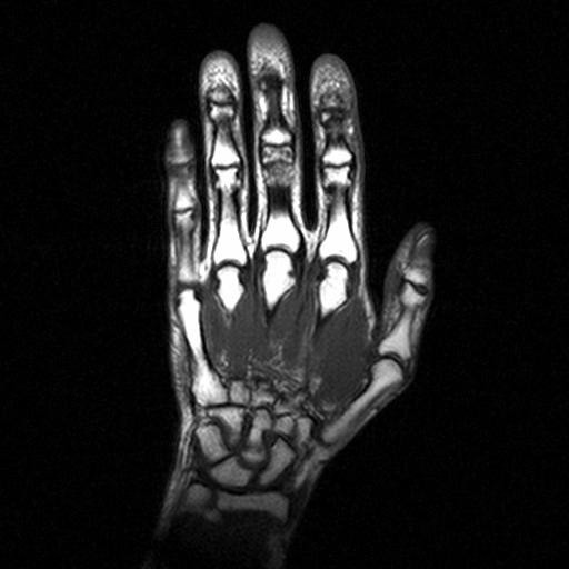 Contract Service MRI US Occ Docs