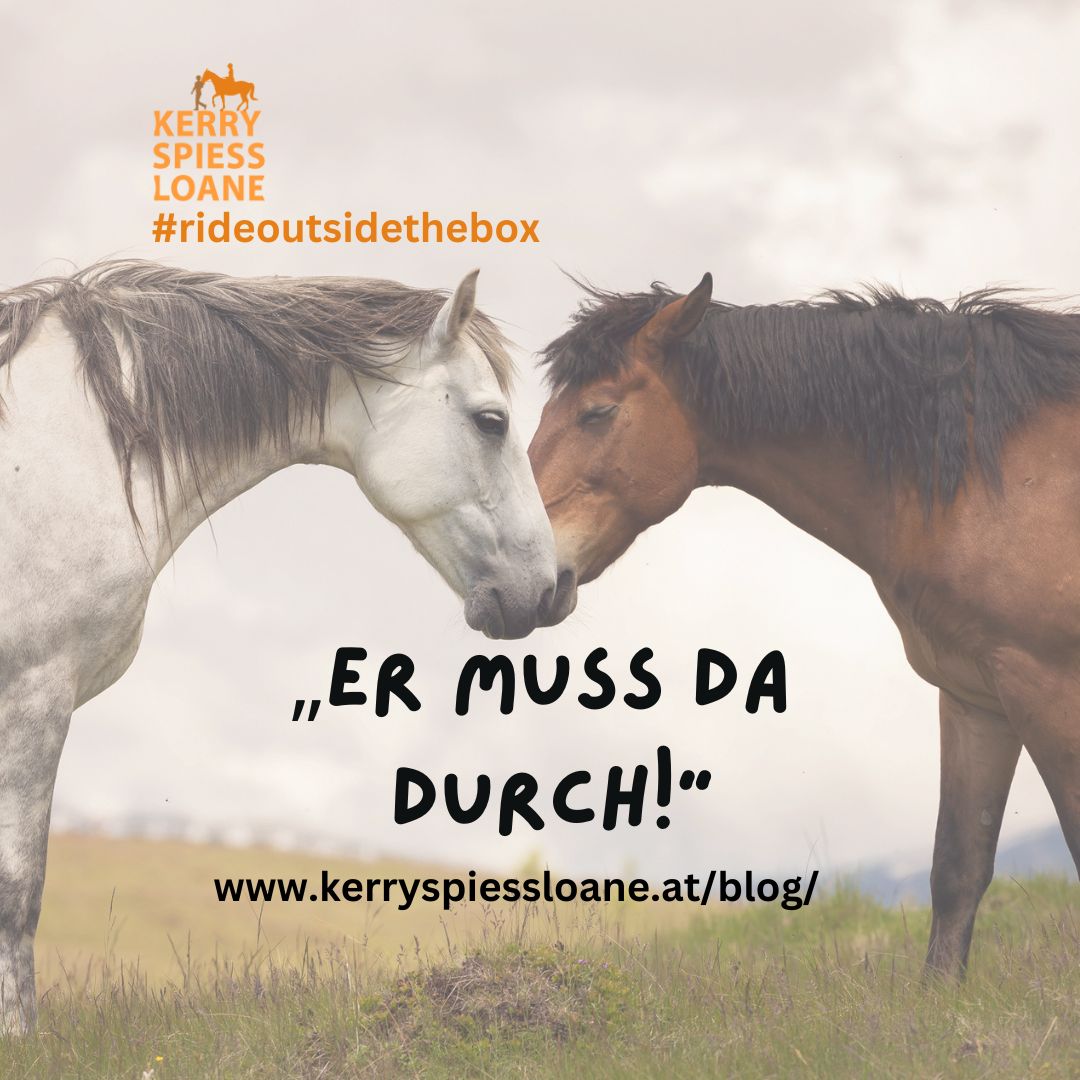 „Er muss da durch!“