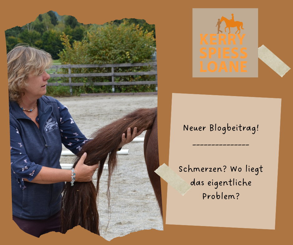 Schmerzen? Wo liegt das eigentliche Problem?