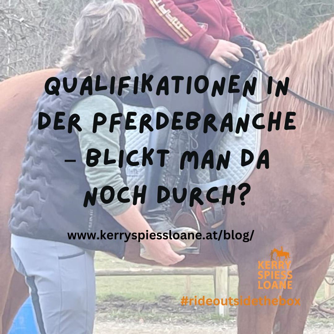 Qualifikationen in der Pferdebranche – blickt man da noch durch?