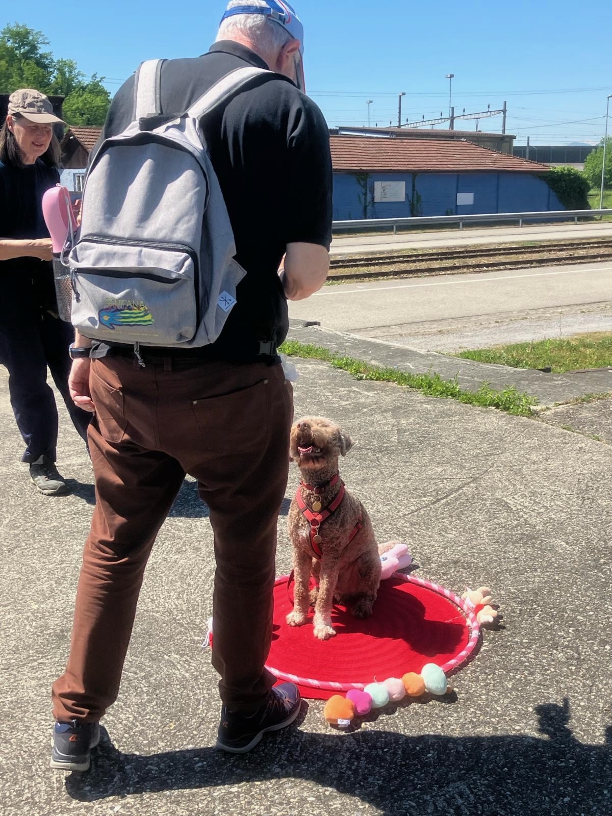 13_Posten-3_Hundeverein Olten