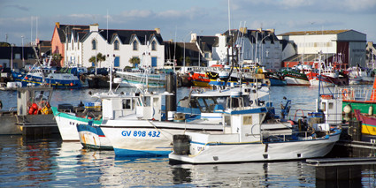 petit port de plaisance au Guilvinec- © ville Guilvinec