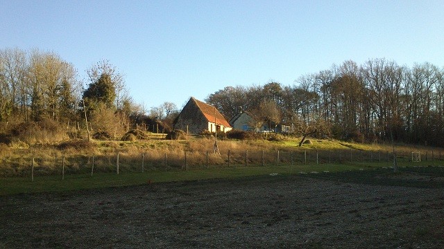 notre petite ferme de la borie blanche, safran du quercy , crocus, 