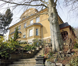 Villa Schmidstraße 20, Plauen
