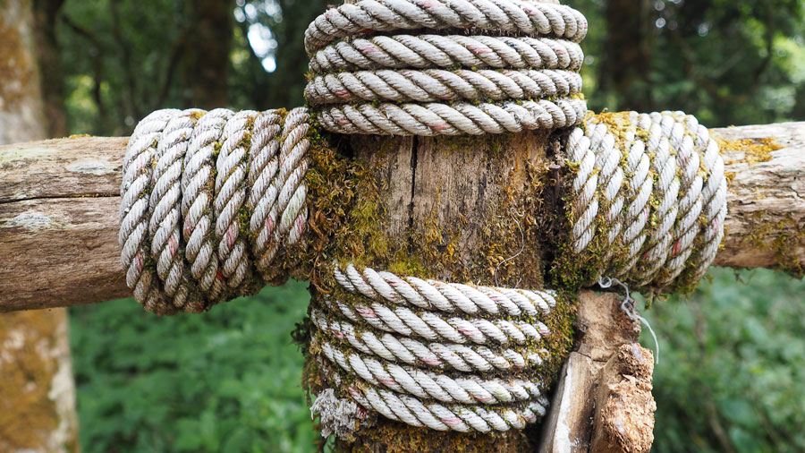 Starke, mehrfach umwickelte Seile an einem moosbedeckten Holzpfosten im Grünen – steht für Stabilität, Vertrauen und nachhaltige Werte.