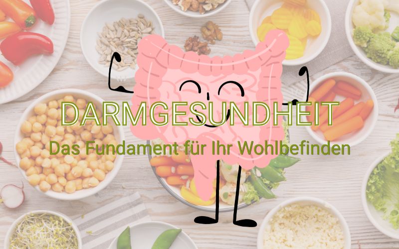 Darmgesundheit - Das Fundament für Ihr Wohlbefinden