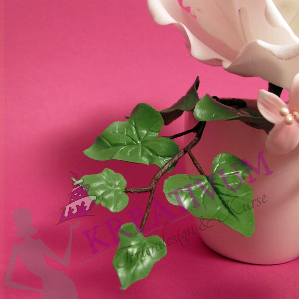 Zuckerblüten Kurs Rosen