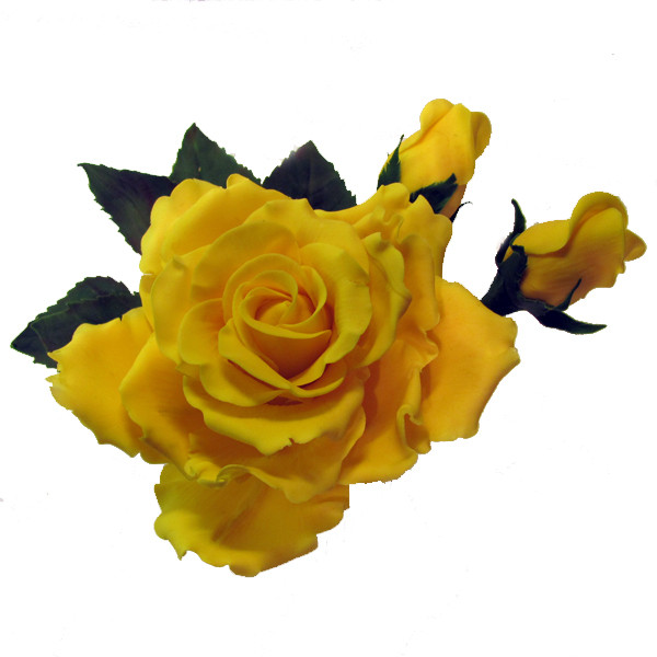 Zuckerblüten Kurs Rosen