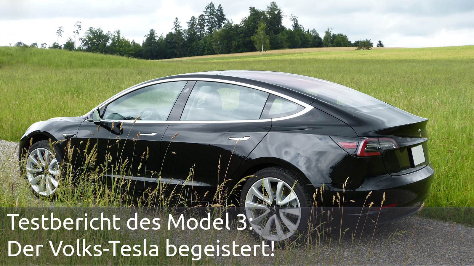 Elektroautos Vergleich Elektroautos Vergleich