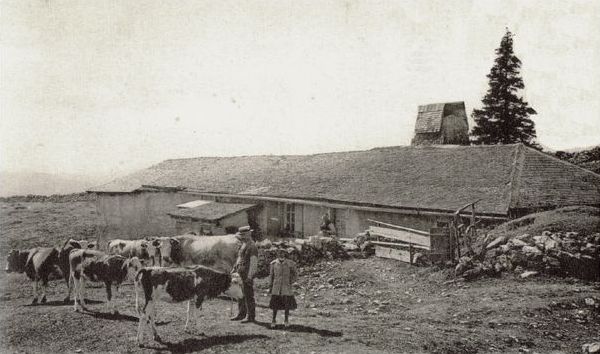 Chalet de la Dent, propriété de la commune de Vaulion. Version première