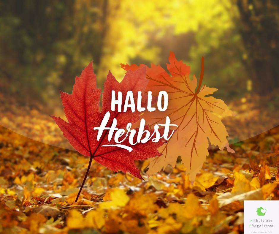 Herbst in Konstanz für Senioren