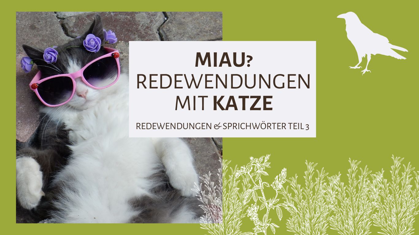 Von »Who Let the Dogs out?« zu »Cats in the Cradle« – hier kommen die Redewendungen und Sprichwörter mit Katze(n)