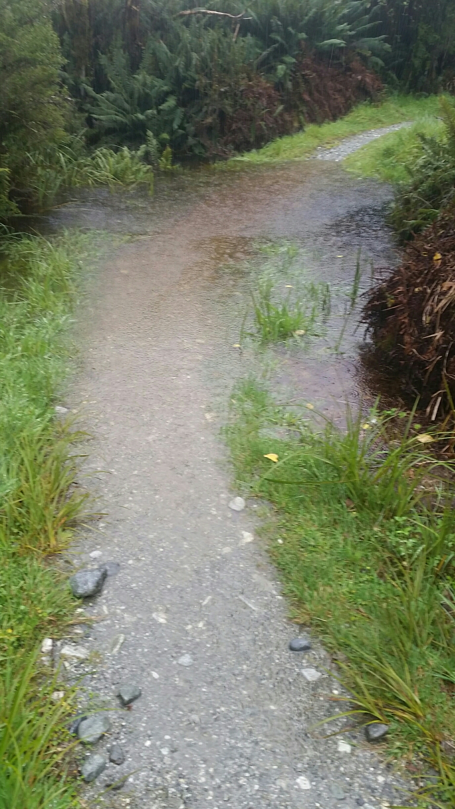 Vom Regen überfluteter Weg