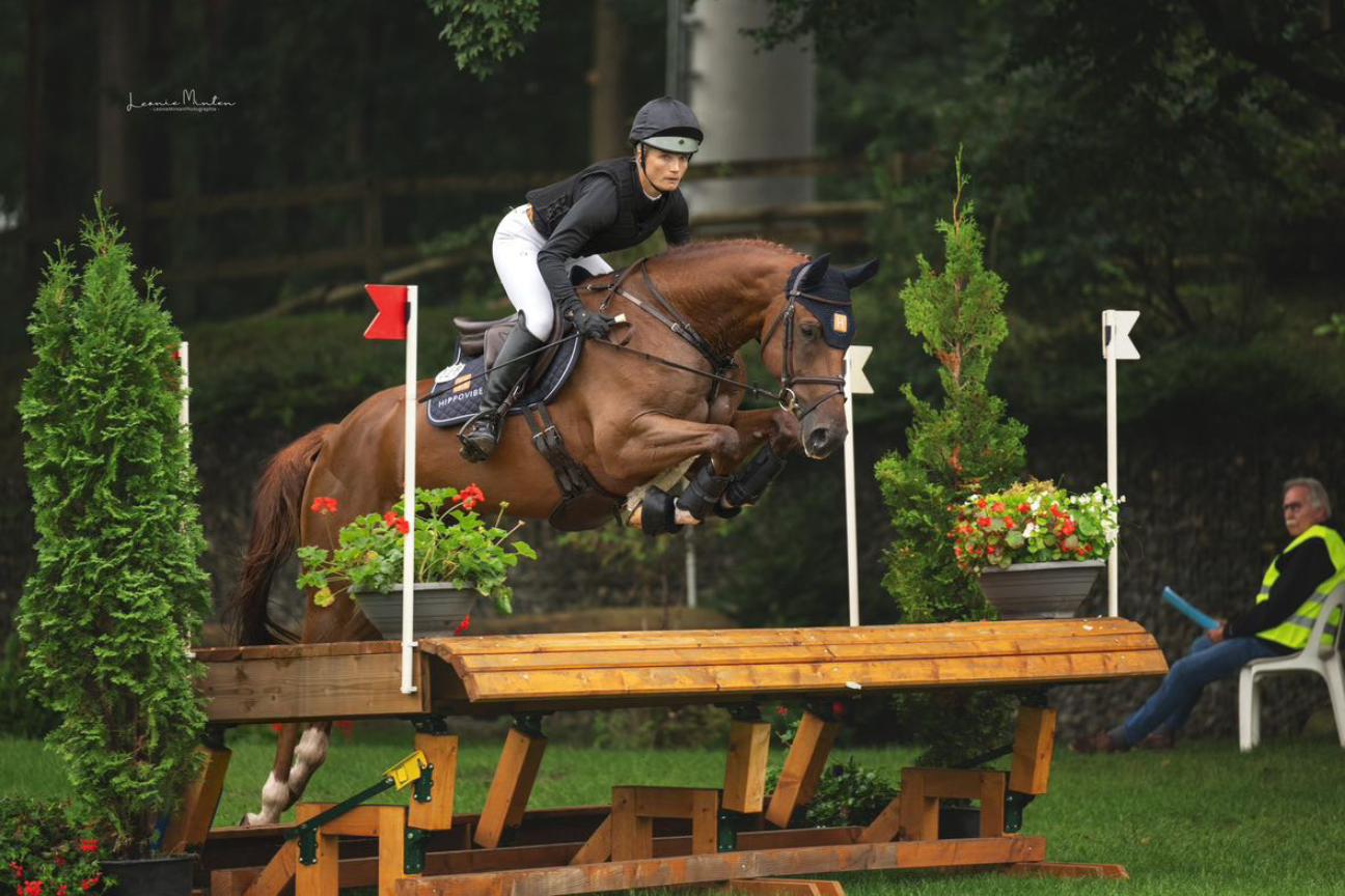 Alf PH (Alaba x Louis le Bon)