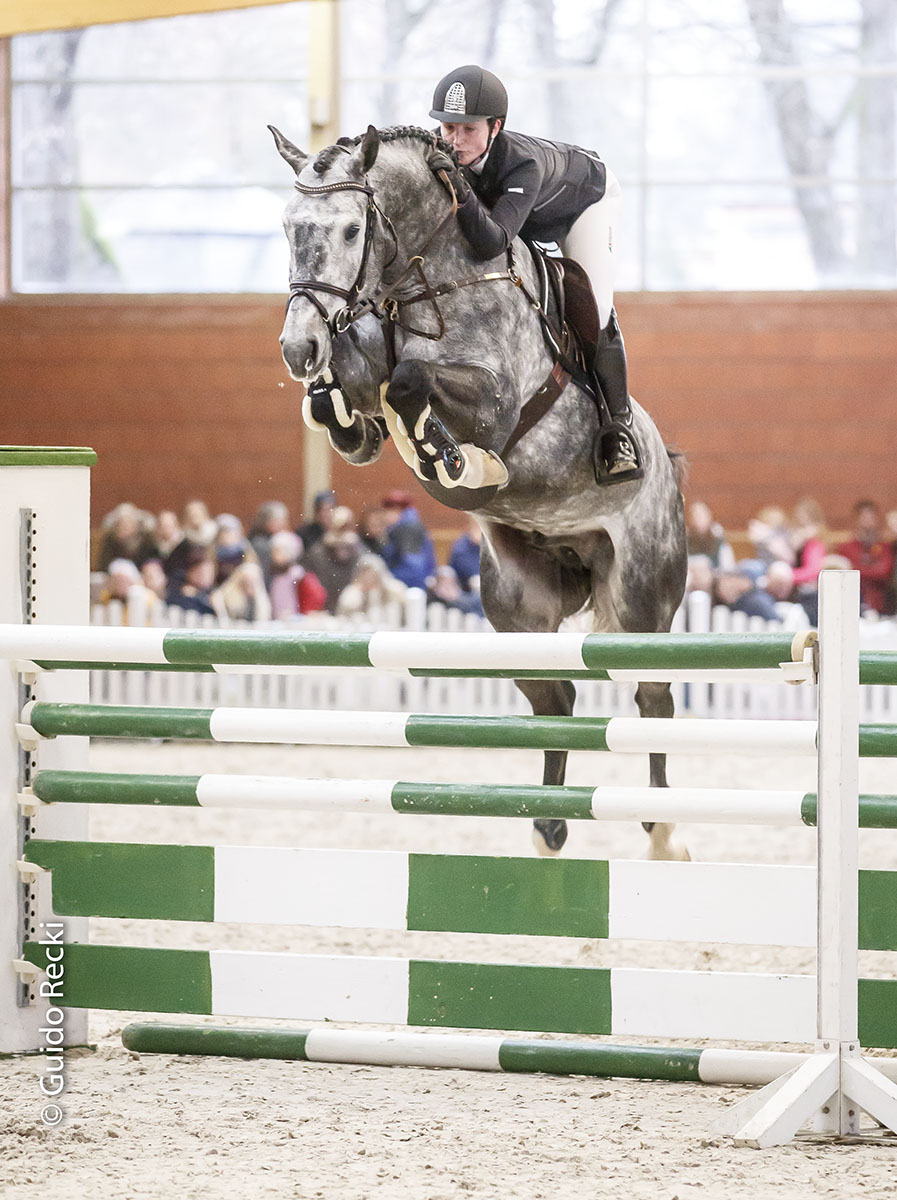 Hengstschau 2017 in Wickrath