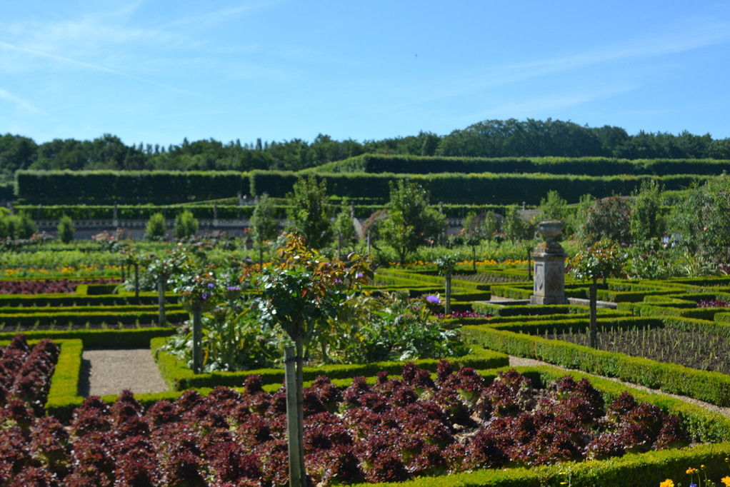 Chateau de Villandry_1