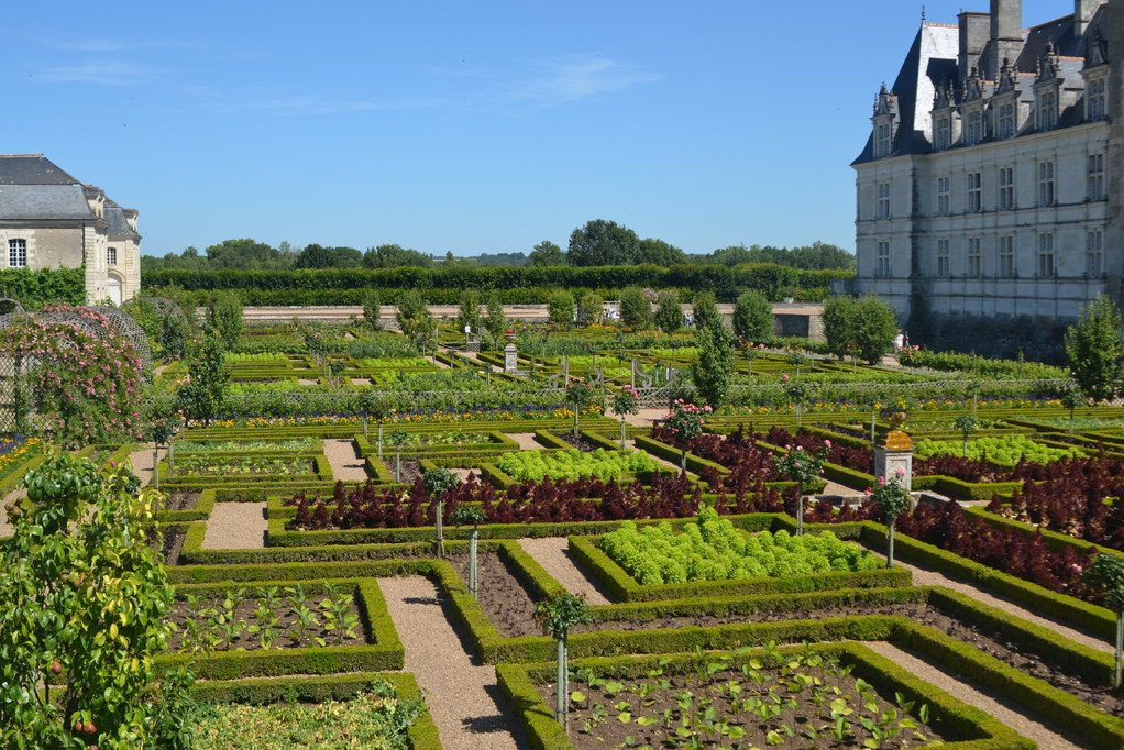 Chateau de Villandry_4