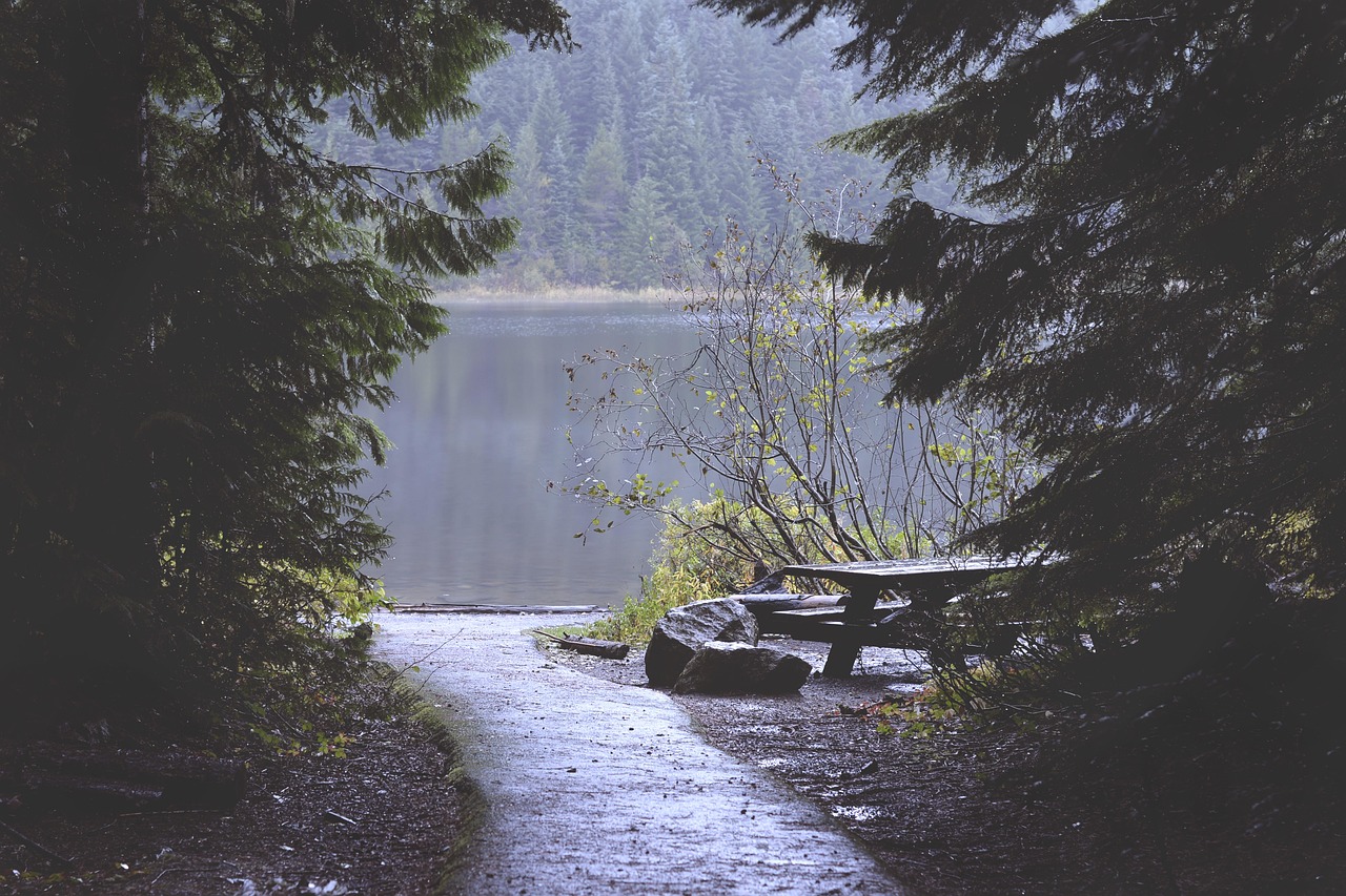 Petrichor & Geosmin: Der Duft des Regens und die Widerstandskraft der Natur