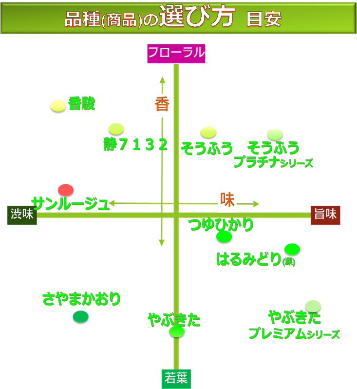 品種茶の選び方　目安　マッピング　マトリックス　旨味　渋味　味　香　フローラル　若葉　