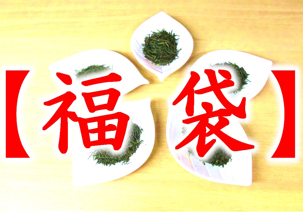季節／特価商品／福袋／アウトレット - 品種のお茶専門店 心向樹 日本