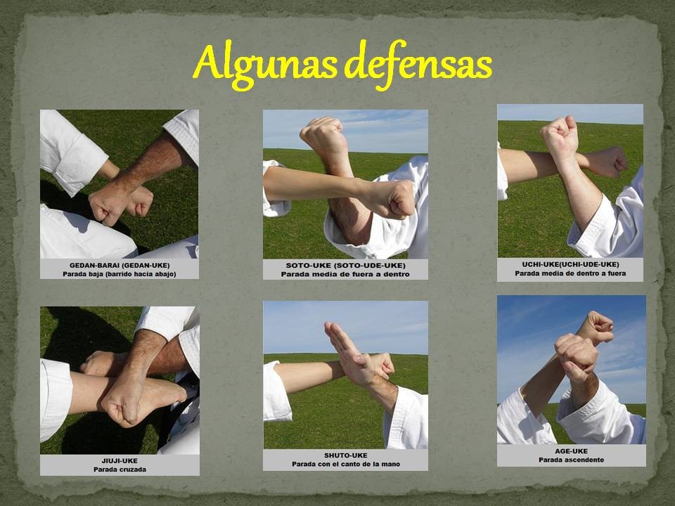 Las Defensas Página Jimdo de paginadereborkan