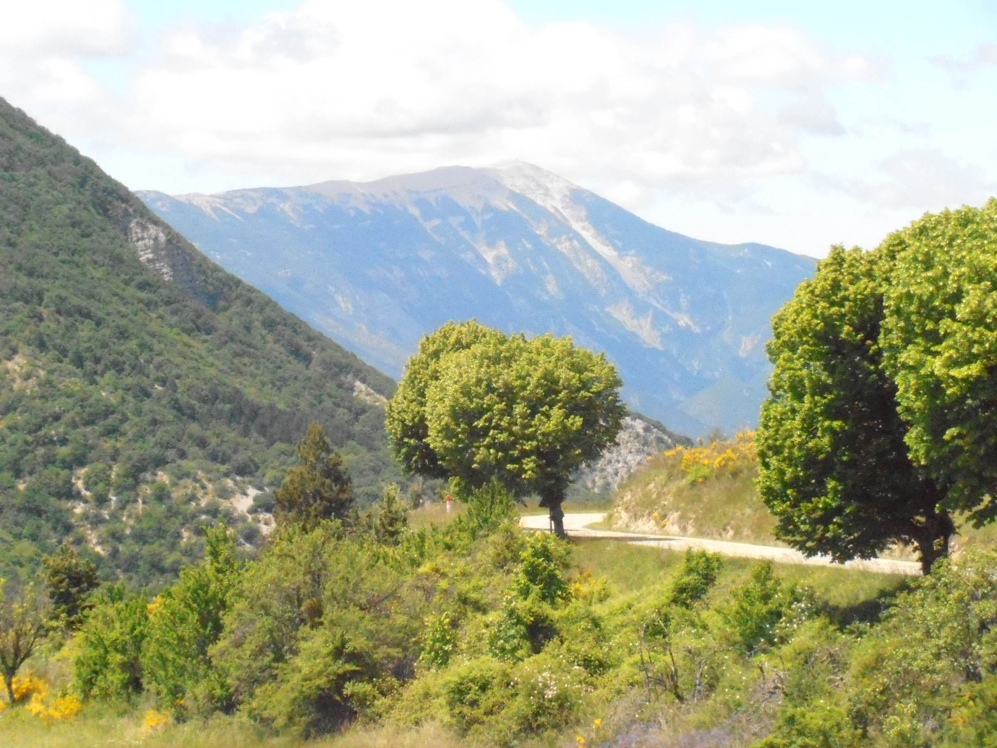 Mont Ventoux vanuit Montagne de Chabre