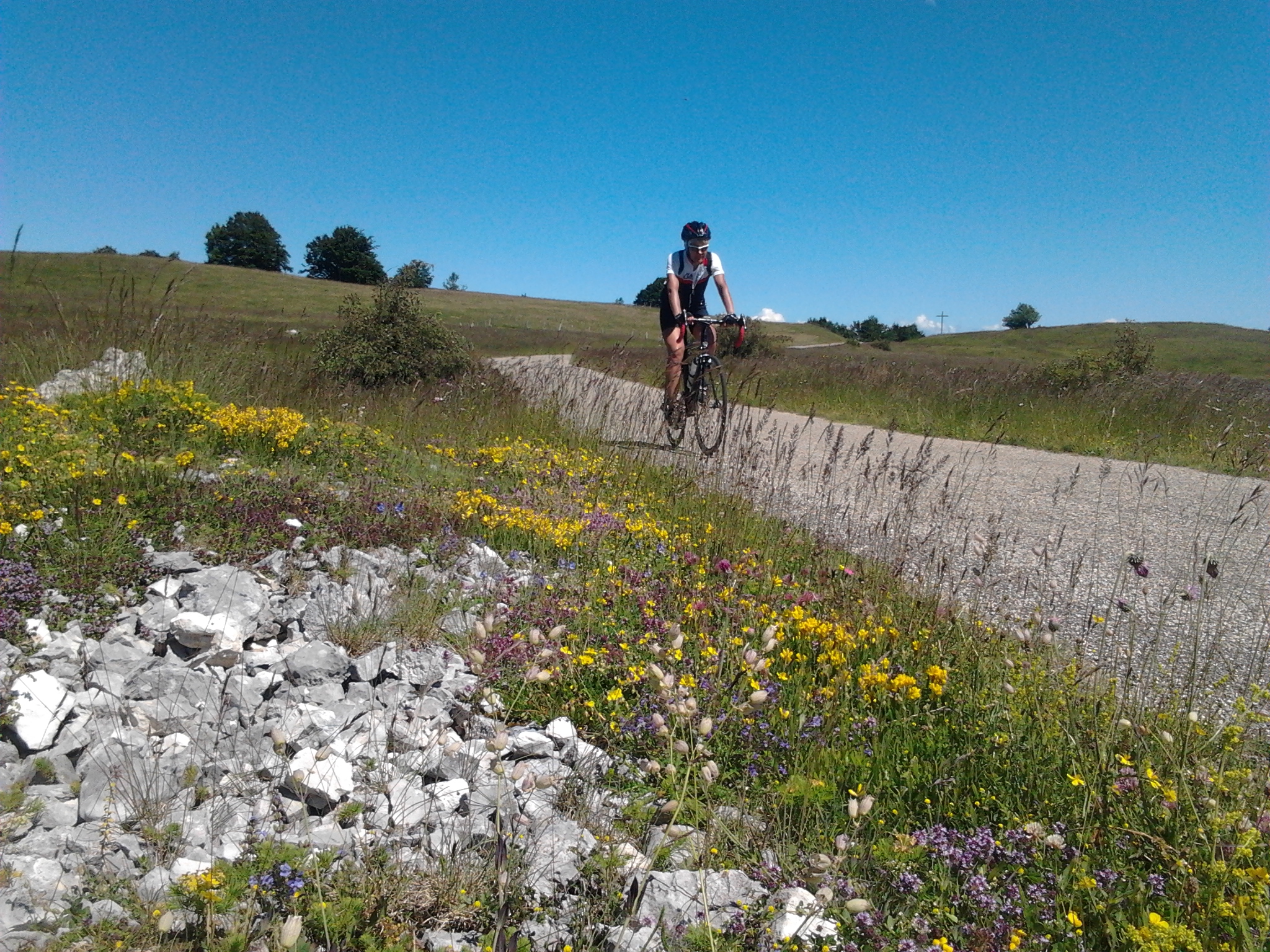 Col de la Biche (Ain)